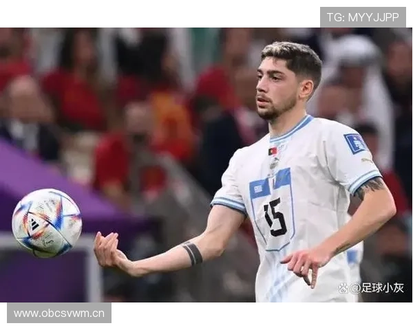 巴尔韦德：世界杯与美洲杯大赛主力成员